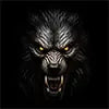 Werewolf face design