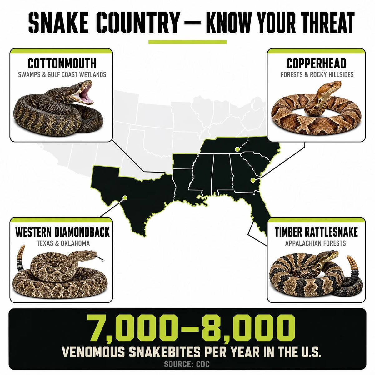 Snake & Thorn Protection Gaiters – Built for the Wild 🥾